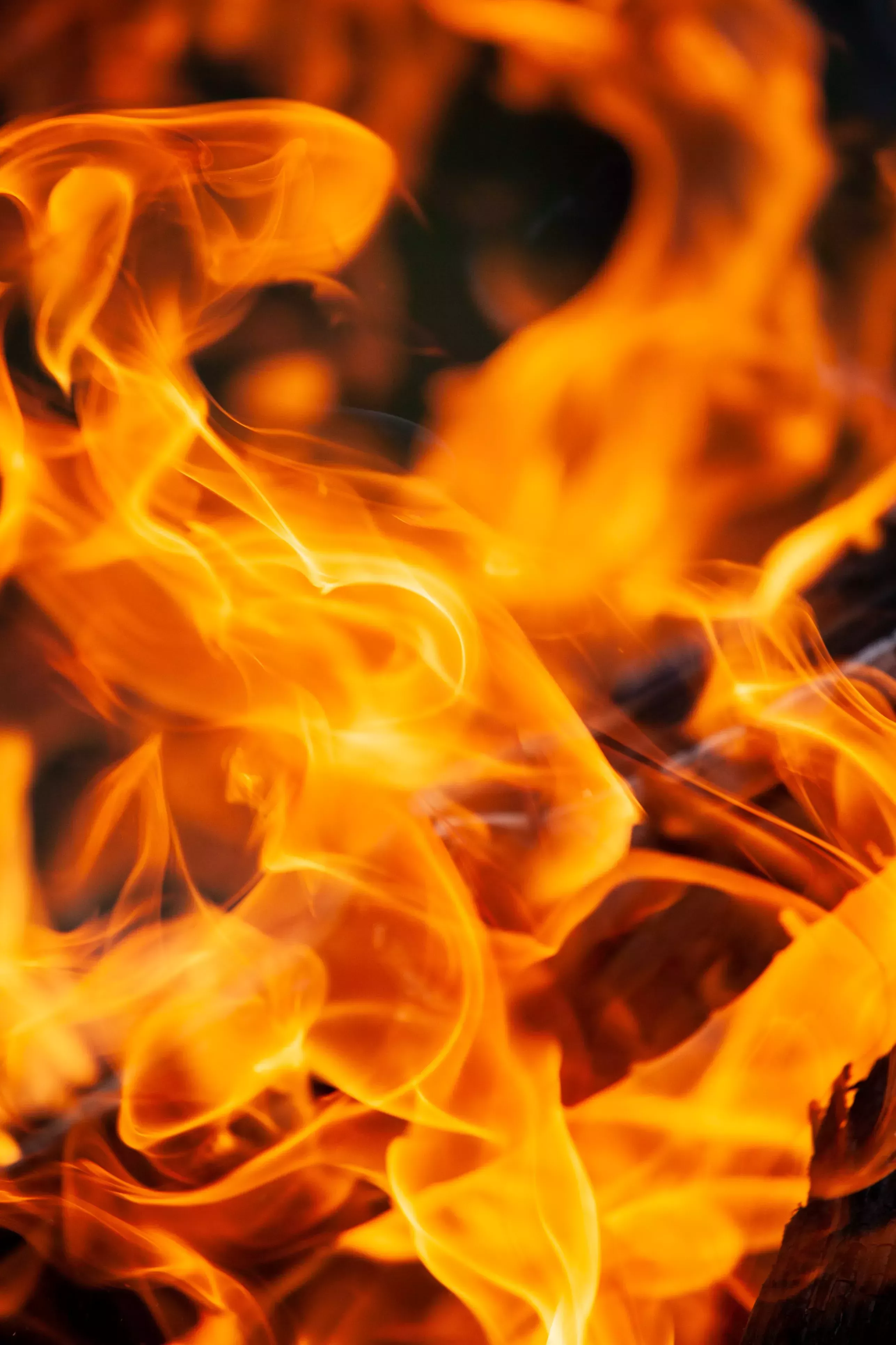 Fahrenheit 451: ¿Ser inteligente es un delito?