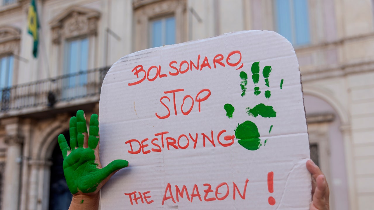 Cómo los líderes indígenas de Brasil siguen luchando para deshacer las políticas destructivas de Bolsonaro