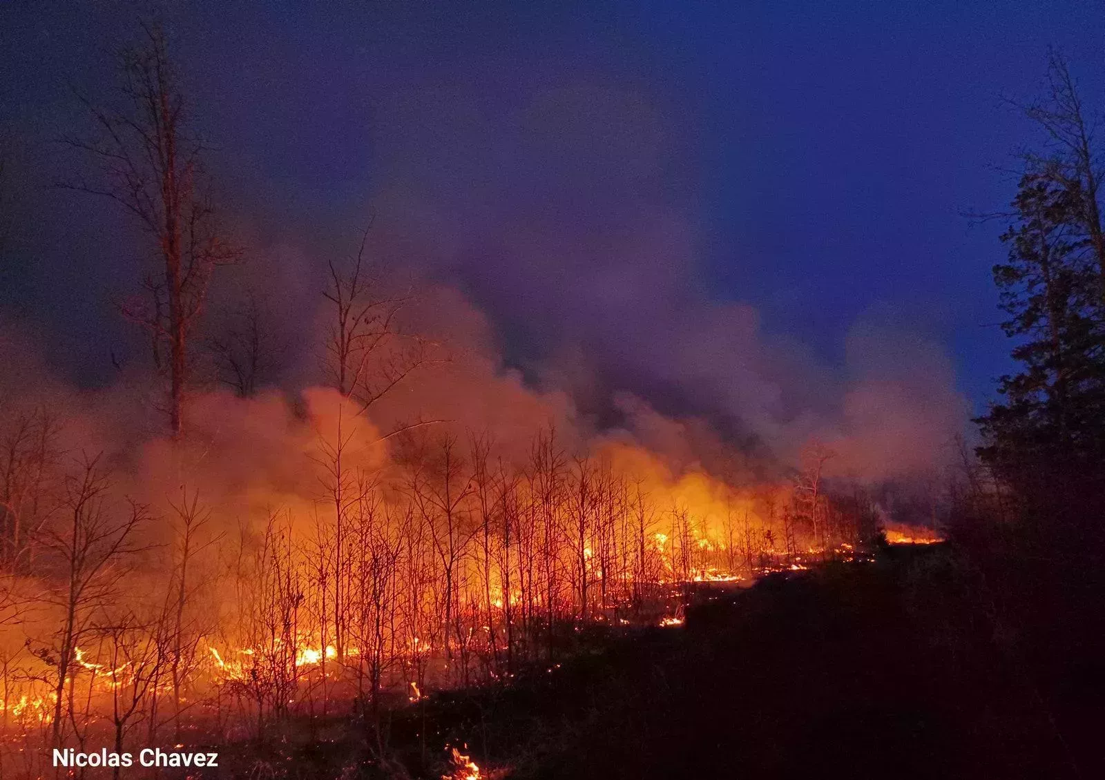 Conozca a los jóvenes que dedican su vida a combatir los incendios forestales