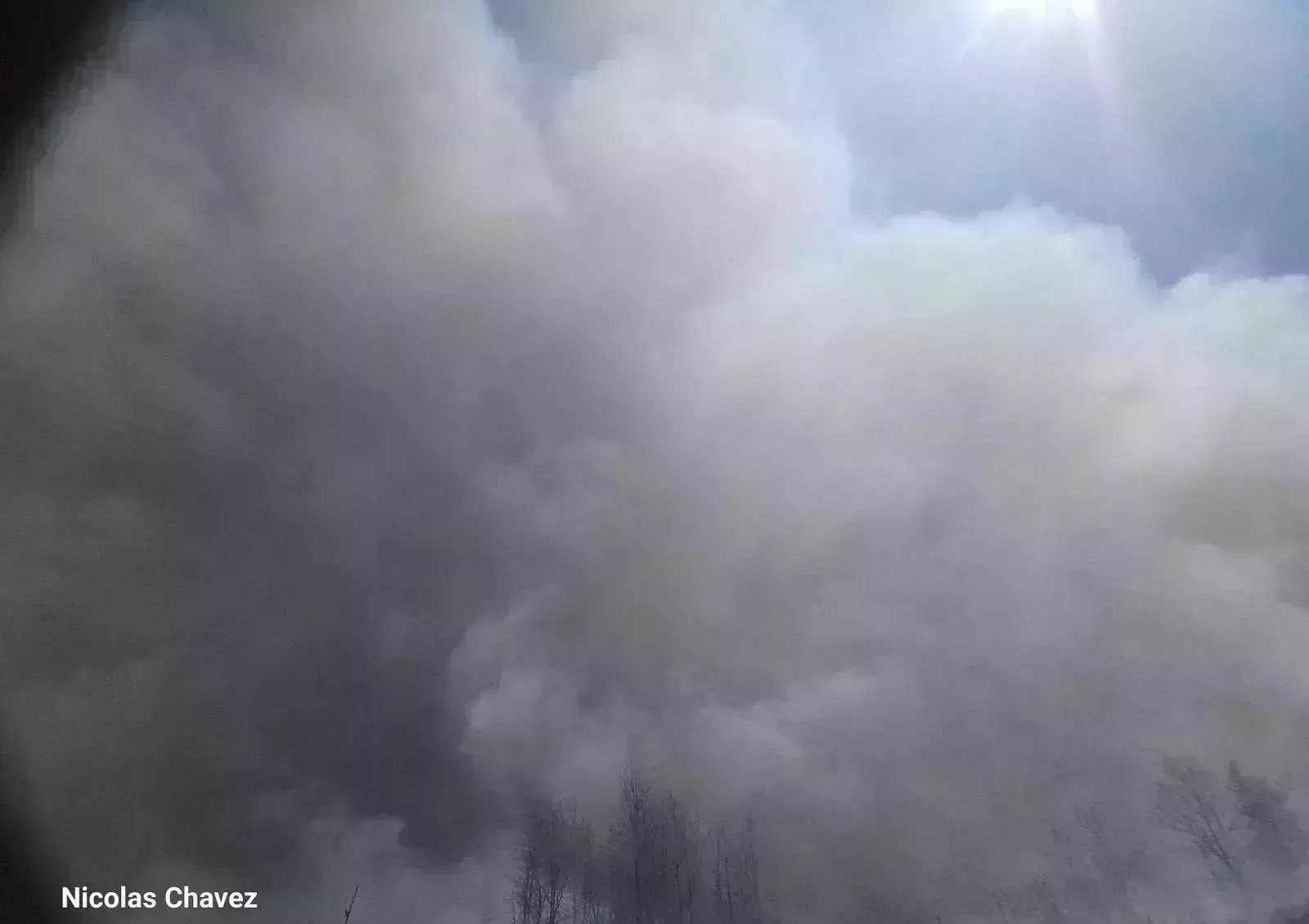 Conozca a los jóvenes que dedican su vida a combatir los incendios forestales