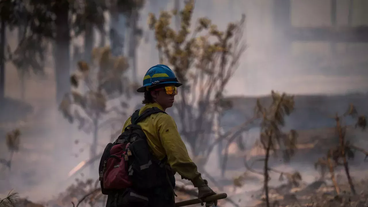 Conozca a los jóvenes que dedican su vida a combatir los incendios forestales