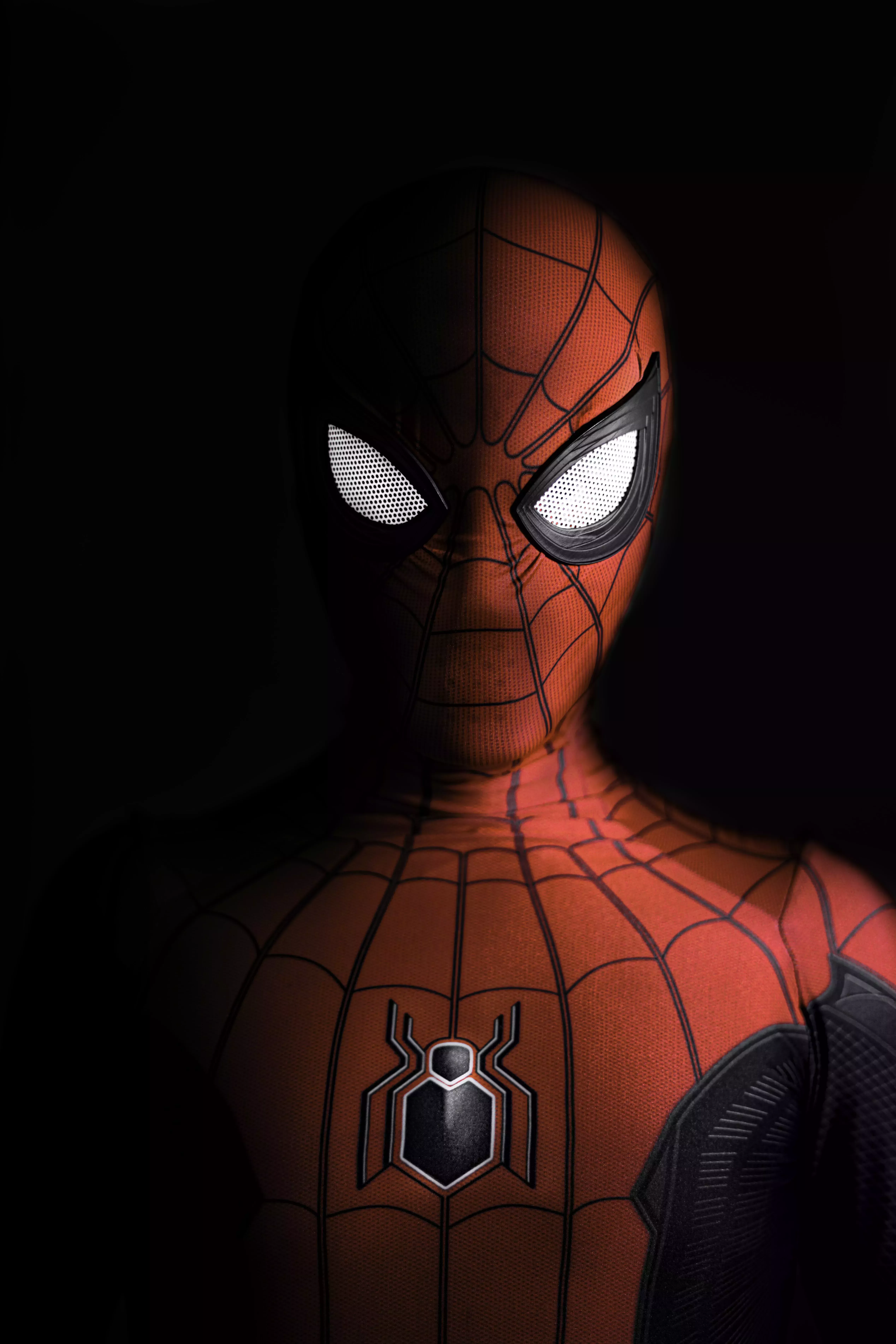 Spider-Man: Into The Spider-Verse Reseña 