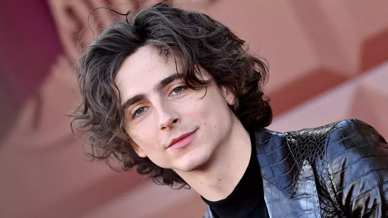 Timothée Chalamet por fin se puso una camisa en el estreno de "Wonka