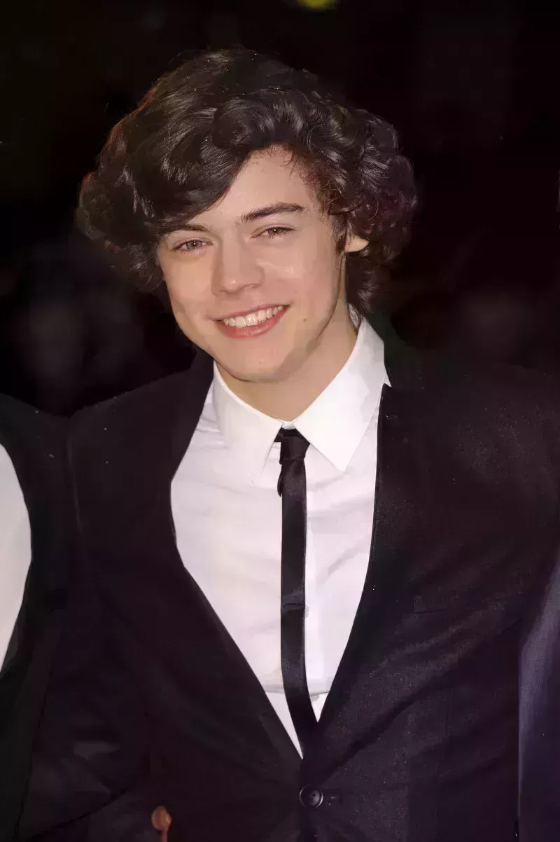 La evolución del pelo de Harry Styles: Largo, corto, rizos, fotos