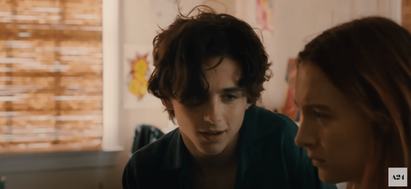 Las 10 mejores películas de Timothee Chalamet clasificadas por la crítica