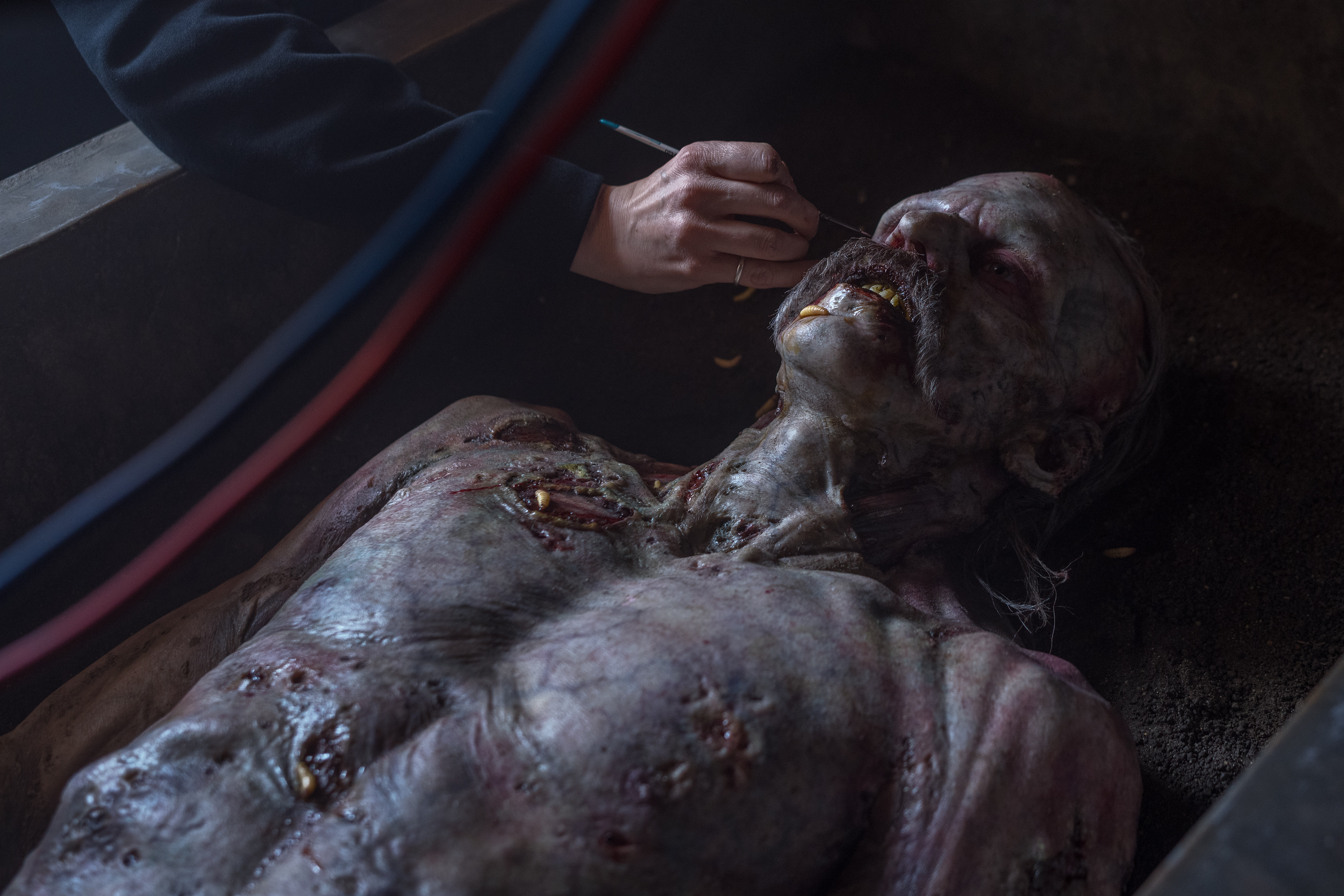 Cómo ‘Nosferatu’ Creó los Dedos Artríticos, el Pene Prostético y los Charcos de Sangre ‘Rojos como el Diablo’ de Count Orlok