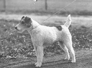 Matford Vic