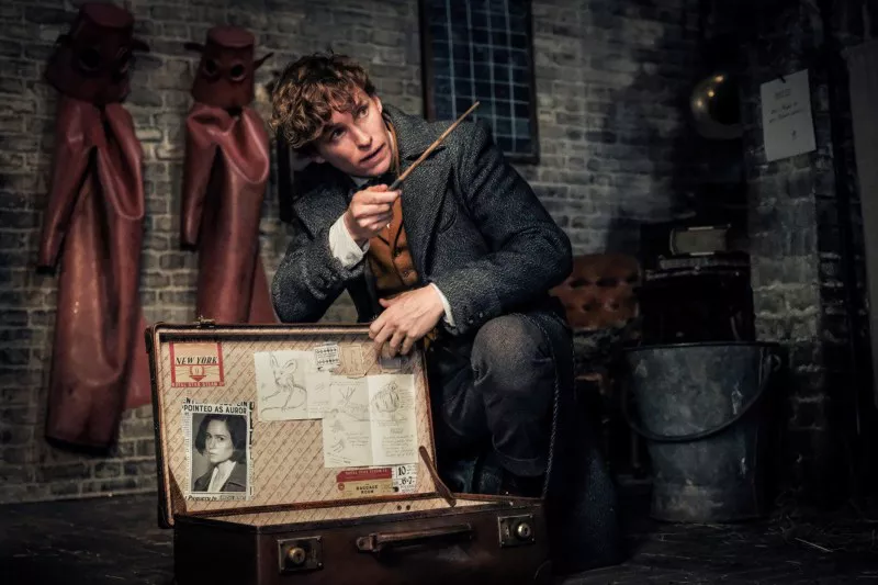 Celebrities Reveal Their ‘Harry Potter’ Hogwarts House