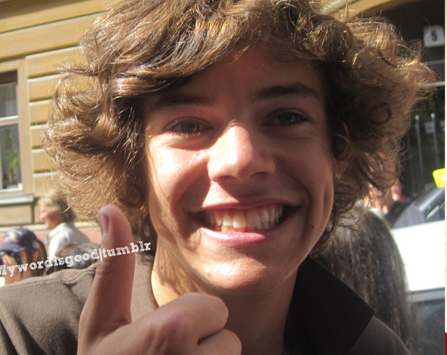 ¿Qué le regalaron los chicos de One Direction a Harry Styles por su cumpleaños? ¿Qué le regalaron los chicos de One Direction a Harry Styles por su cumpleaños?