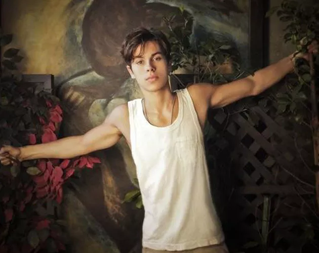 jake t austin