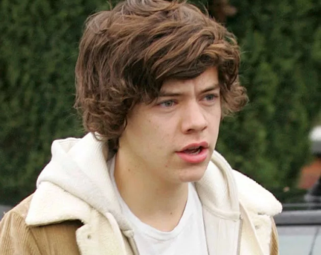 lenceria harry styles