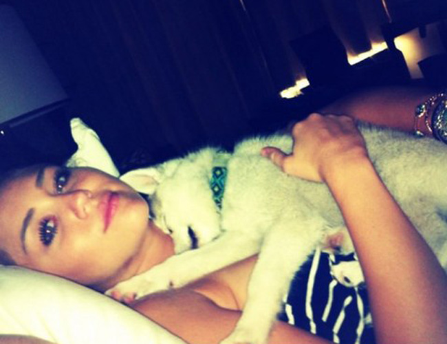 Miley Cyrus: "Estoy deseando que Brenda se convierta en una Cyrus" Miley Cyrus: "Estoy deseando que Brenda se convierta en una Cyrus"