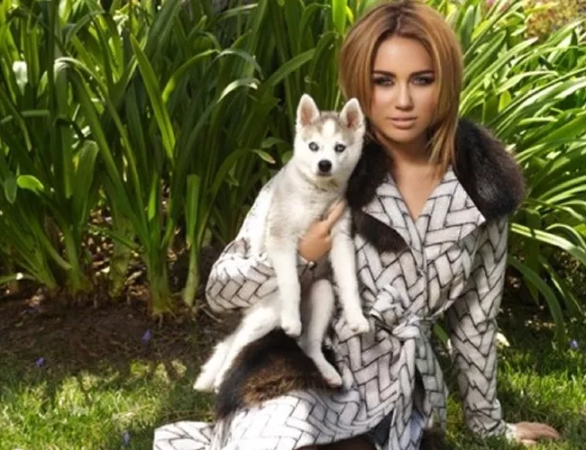 miley cyrus perro