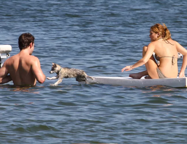 miley y perro agua