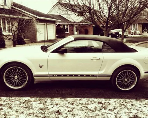 mustang