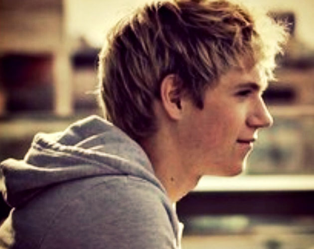 Niall Horan es el favorito de los One Direction en EEUU Niall Horan es el favorito de los One Direction en EEUU