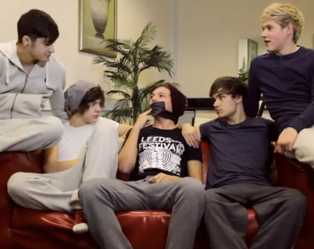 one direction videodiario