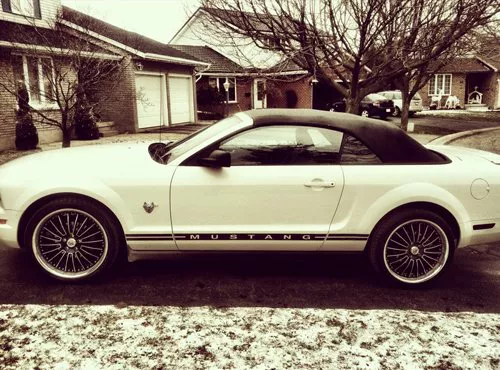 ryan-butler-mustang-bieber-001