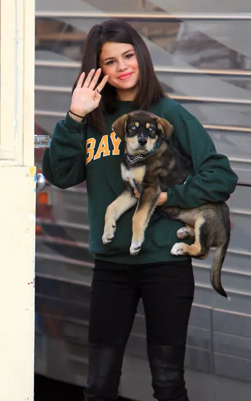 selena-gomez-nuevo-perrito-001