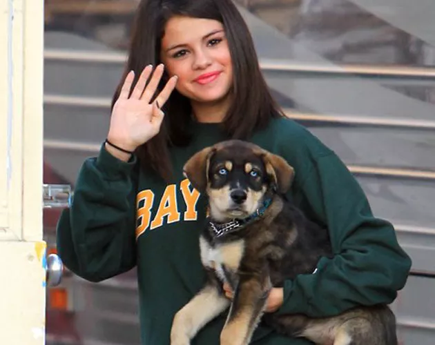 selena perro
