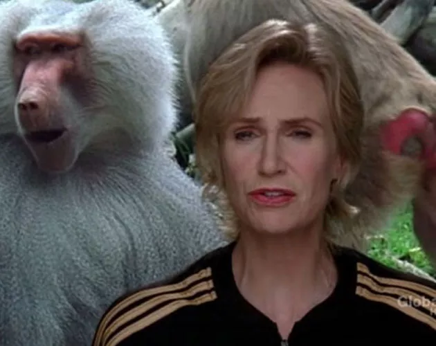 sue sylvester