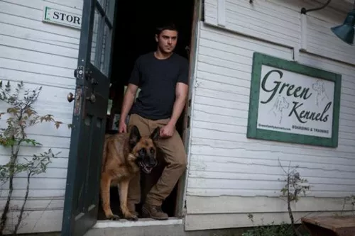 zac-efron-twitter-facebook-004