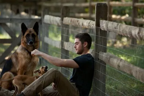 zac-efron-twitter-facebook-005