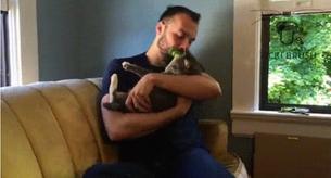Este cepillo para lamer a tu gato te volverá completamente loco
